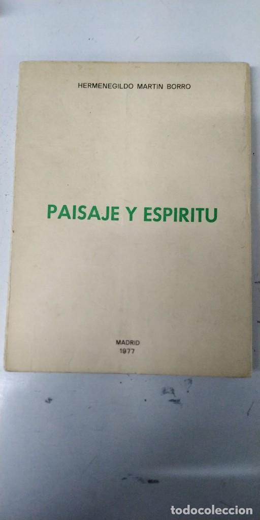 Libros: Paisaje y esp&iacute;ritu - Mart&iacute;n Borro, Hermenegildo - Foto 1