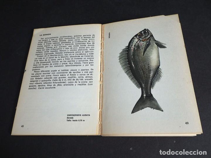 Libros: PESCA EN EL MAR . TONY BURNAND. EDICIONES DAIMON . 1971. - Foto 2