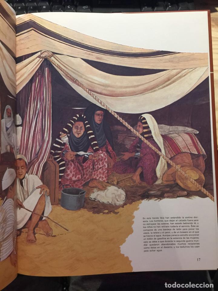 Libros: Beduinos - Peters, Stella - Foto 2