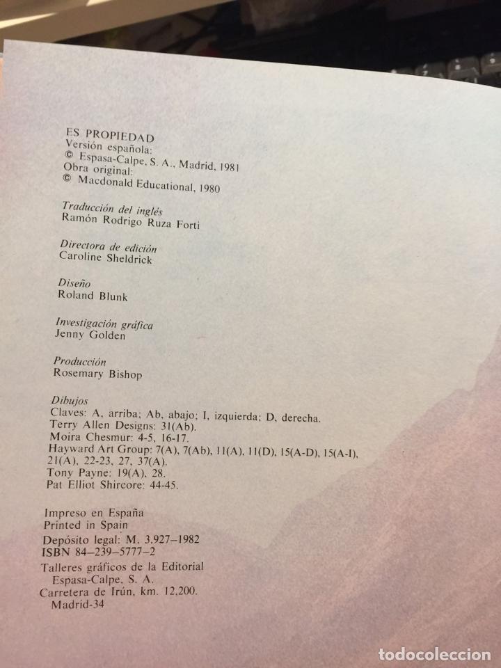 Libros: Beduinos - Peters, Stella - Foto 6