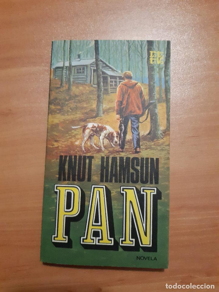 Libros: Pan - Knut Hamsun - Foto 1