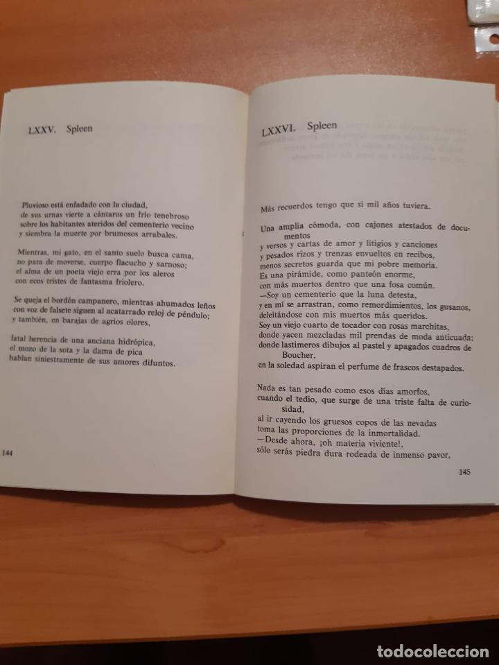 Libros: Almas de Cristal - Bartolome Soler - Foto 3