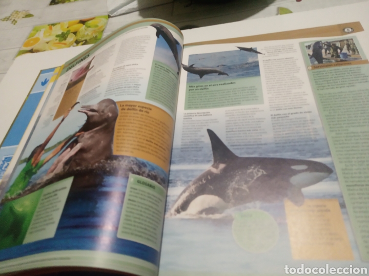 Libros: Libro Guiness World records 2016 - Foto 4
