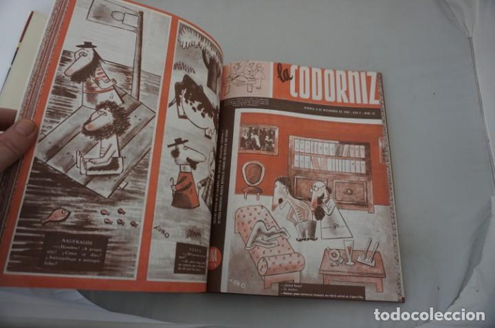 Libros: (13D) LA CODORNIZ - Foto 5