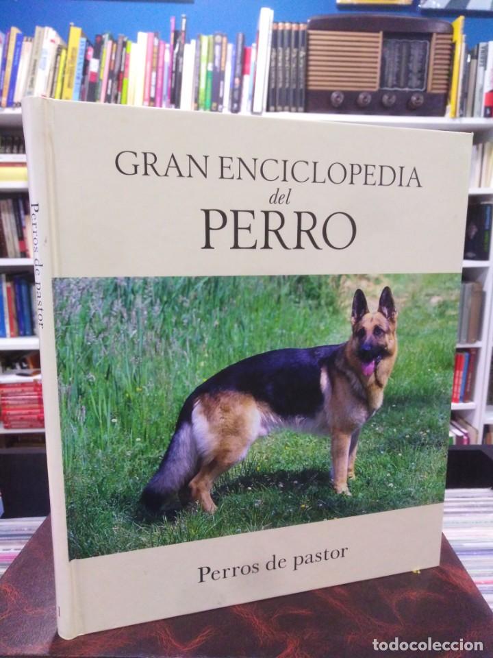 Libros: PERROS DE PASTOR - GRAN ENCICLOPEDIA DEL PERRO - Foto 1