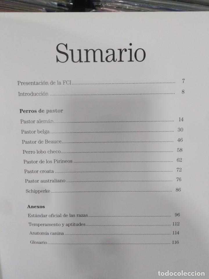 Libros: PERROS DE PASTOR - GRAN ENCICLOPEDIA DEL PERRO - Foto 3