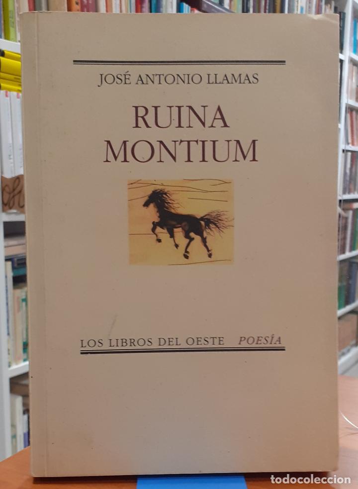 Libros: Ruina montium - LLAMAS, JOS&Eacute; ANTONIO - Foto 1