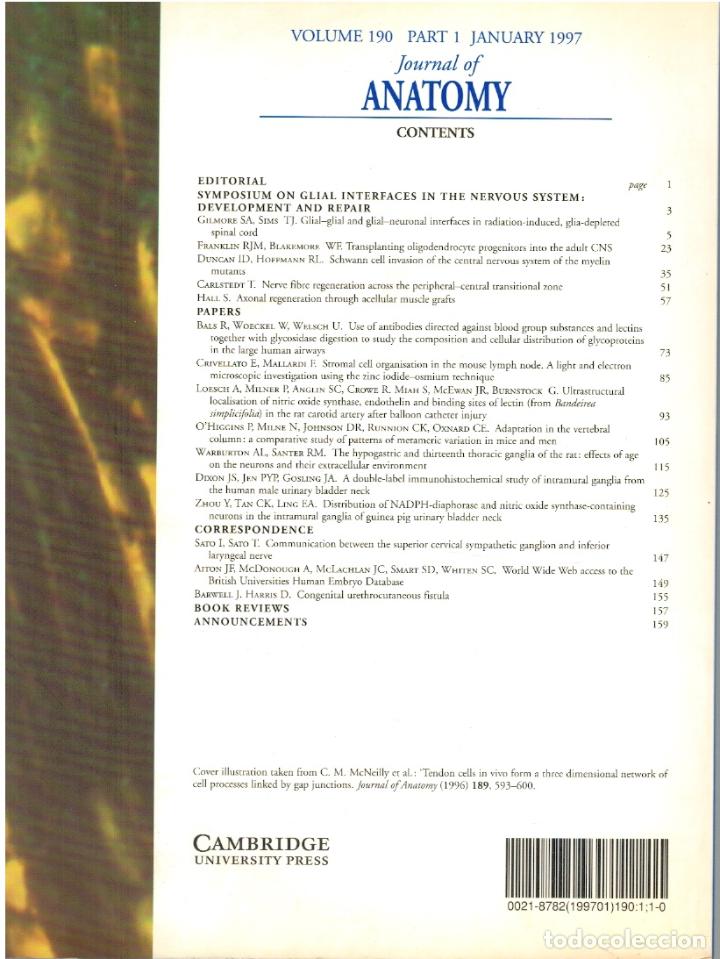 books: MOLECULAR, CELLULAR AN EXPERIMENTAL MORPHOLOGY (JOURNAL OF ANATOMY VOLUME 190, PART 1, JANUARY 1997)