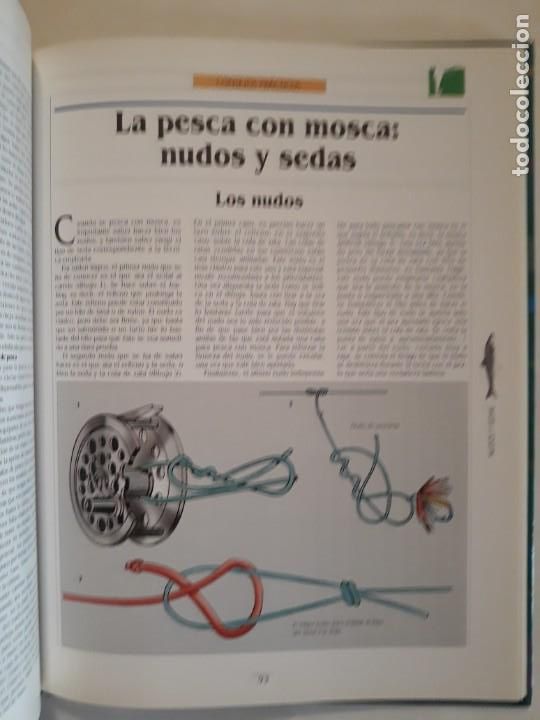 Libros: LIBRO LA PESCA EN AGUA DULCE. EDITORIAL &Aacute;GATA - Foto 5