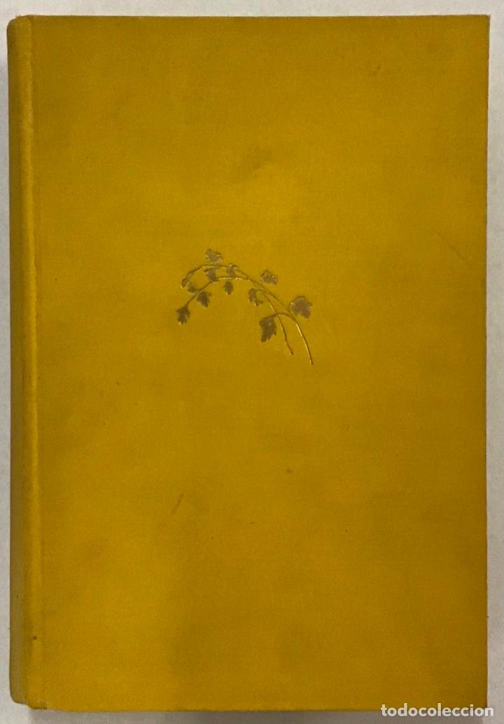 Libros: CANCI&Oacute;N. - JIM&Eacute;NEZ, Juan Ram&oacute;n. - Foto 1