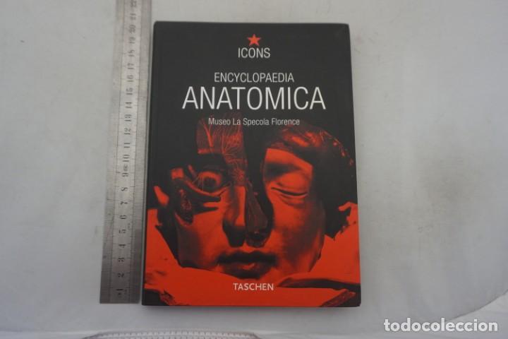 Libros: (14C) - ENCYCLOPAEDIA ANATOMICA / TASCHEN - Foto 1