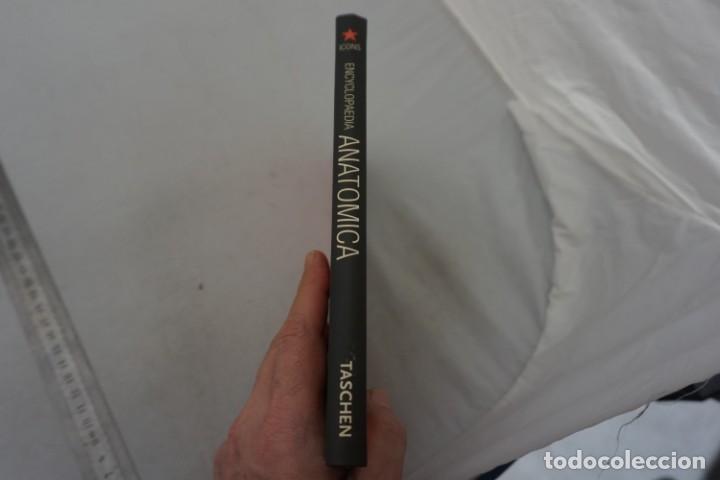 Libros: (14C) - ENCYCLOPAEDIA ANATOMICA / TASCHEN - Foto 2