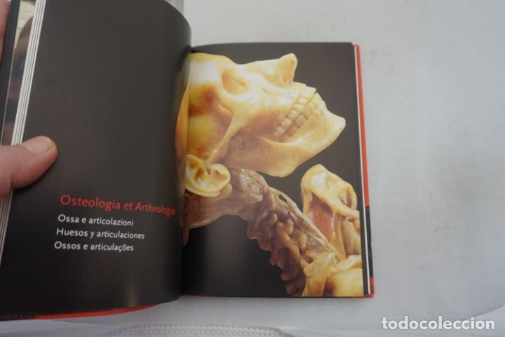 Libros: (14C) - ENCYCLOPAEDIA ANATOMICA / TASCHEN - Foto 4