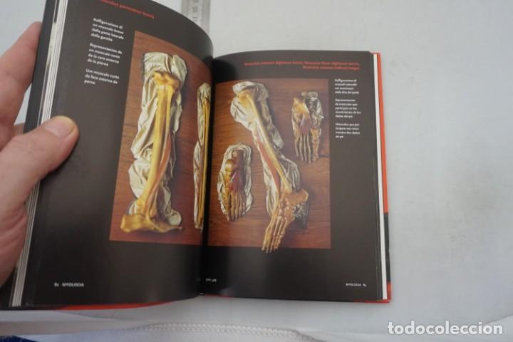Libros: (14C) - ENCYCLOPAEDIA ANATOMICA / TASCHEN - Foto 5