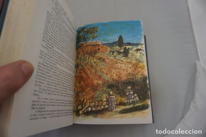 Libros: (14C) - 3 TOMOS - OEURES DE COLETTE / FLAMMARION 1960 - Foto 11