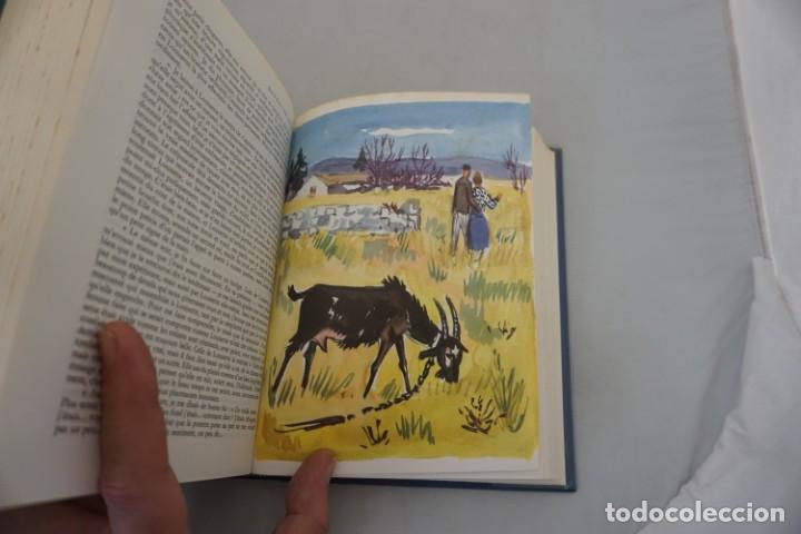 Libros: (14C) - 3 TOMOS - OEURES DE COLETTE / FLAMMARION 1960 - Foto 12