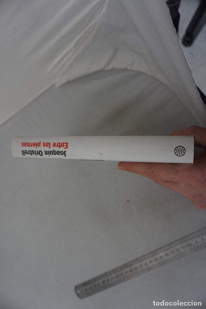 Libros: (14D) - ENTRE LAS PIERNAS - JOAQUIN ORISTRELL / PLANETA - Foto 2