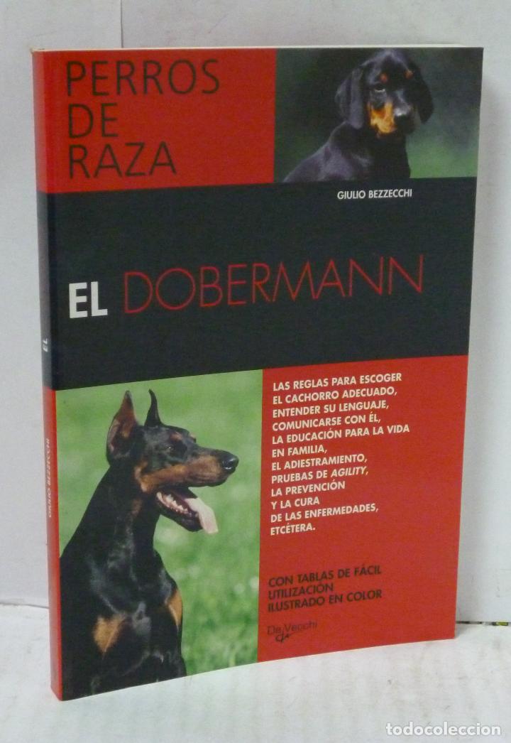 Libros: EL DOBERMANN - Bezzecchi, Giulio - Foto 1