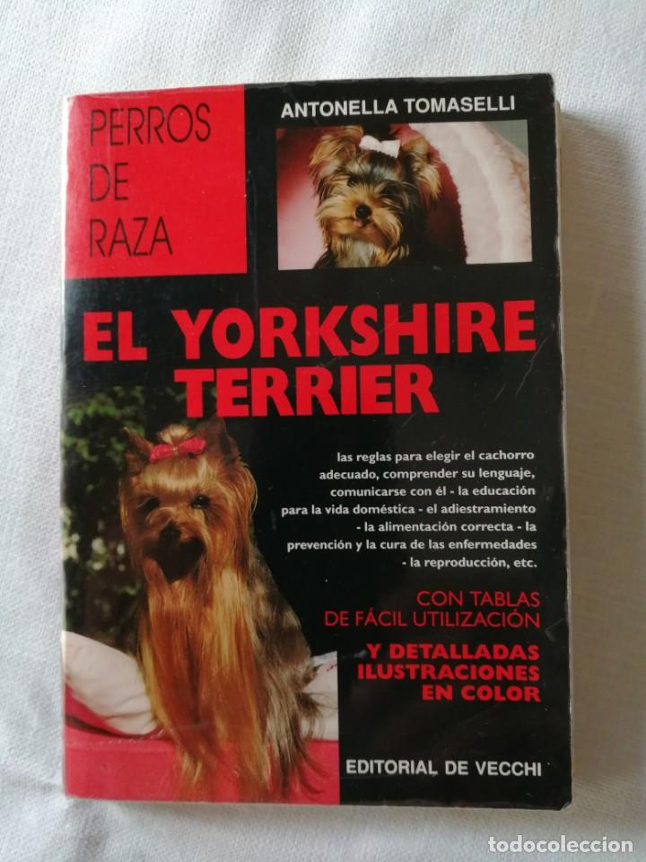 Libros: PERROS DE RAZA - EL YORKSHIRE TERRIER - ANTONELLA TOMASELLI - Foto 1