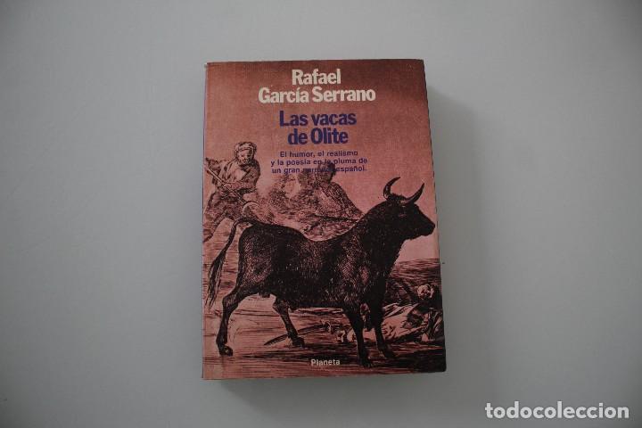 Libros: LAS VACAS DE OLITE RAFAEL GARC&Iacute;A SERRANO - Foto 1