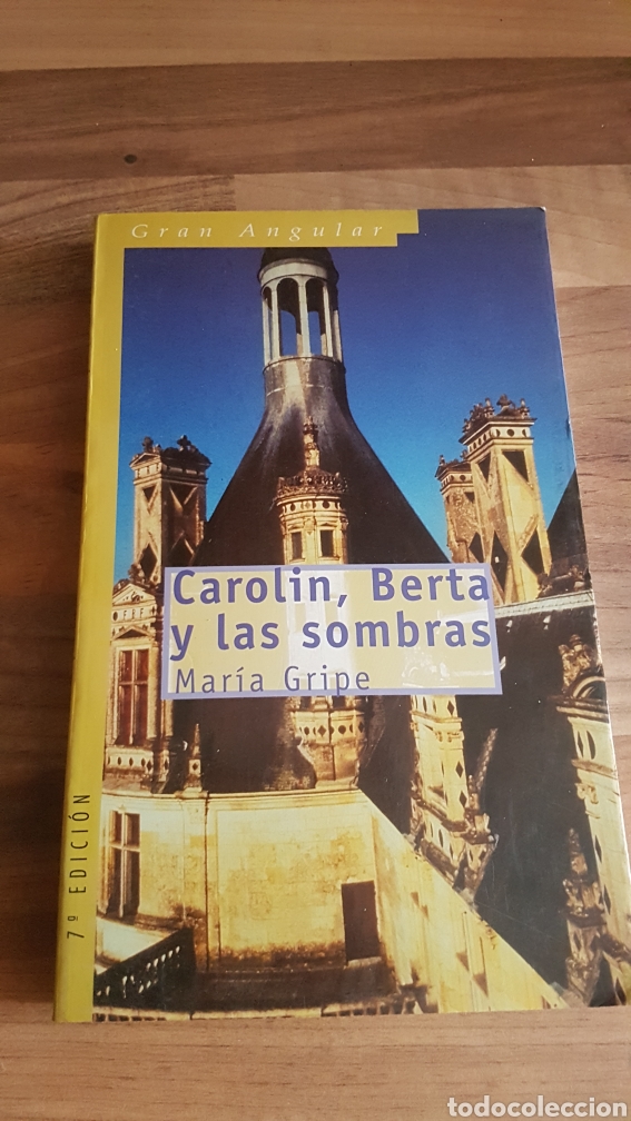 Libros: Carolin Berta y las sombras Mar&iacute;a gripe gran angular - Foto 1