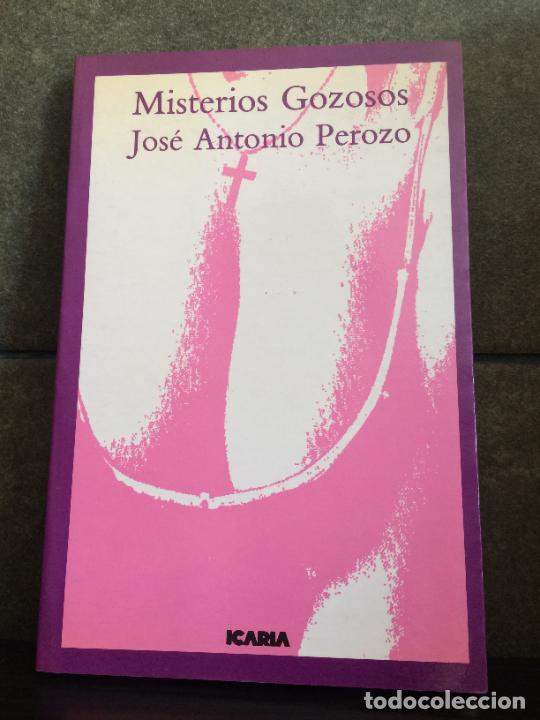 Libros: Misterios gozosos (Compa&ntilde;&iacute;a de letras) (Spanish Edition) - Foto 1