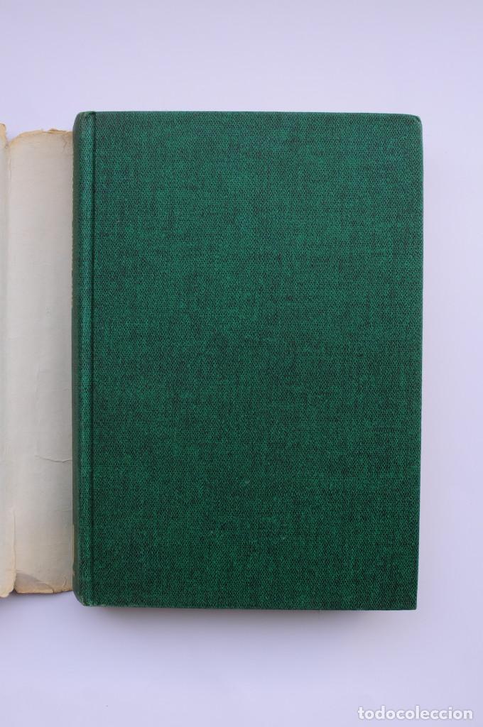 Libros: Una dama solitaria - ROBBINS, Harold - Foto 2