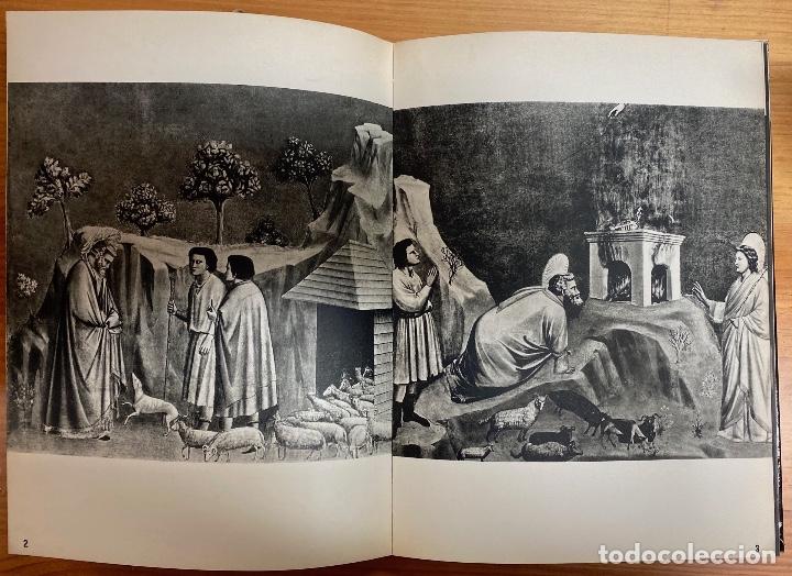 Libros: LARMES CELESTES - MARJAY, Frederic P. - Foto 3