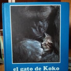 Livros em segunda mão: EL GATO DE KOKO, FRANCINE PATTERSON,FOTOGRAFÍAS RONALD H. COHN, LOS LIBROS DEL COMIENZO. Lote 208346500
