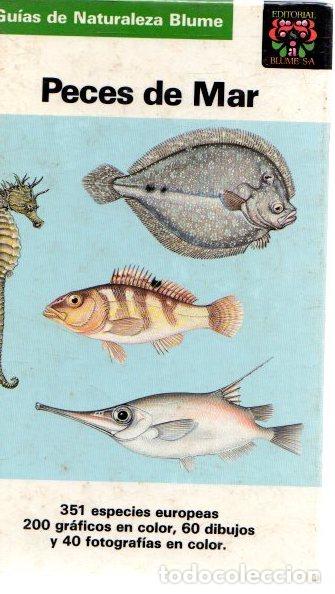 Libros: Peces de mar - VVAA - Foto 1