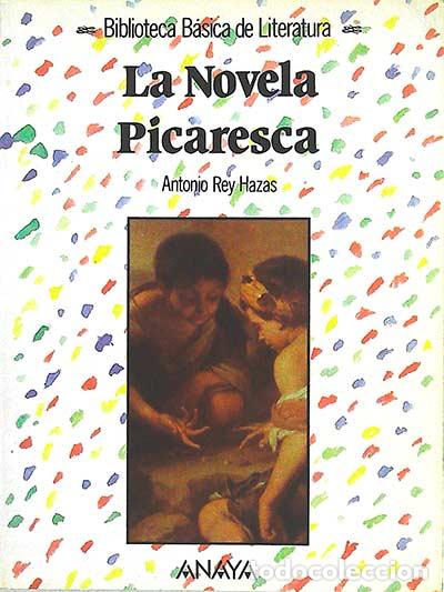 Libros: La novela Picaresca - Antonio Rey Hazas - Foto 1