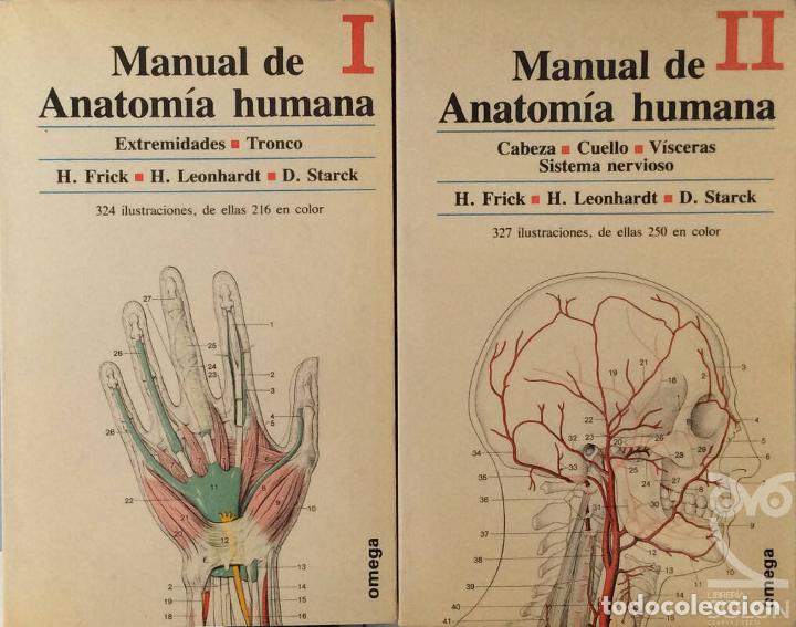 Libros: Manual de Anatom&iacute;a Humana (2 Vols.) - Aa. Vv. - Foto 6