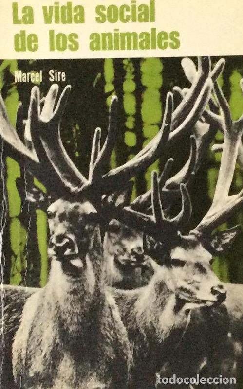 Libros: La vida social de los animales - Marcel Sire - Foto 2
