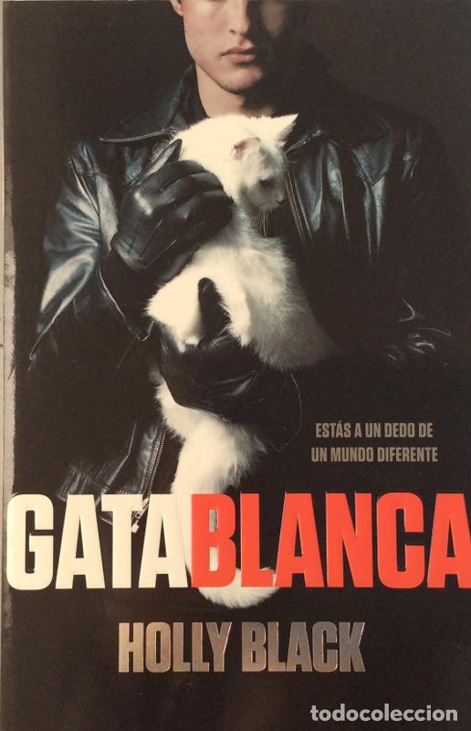 Libros: Gata blanca - Holly Black - Foto 1