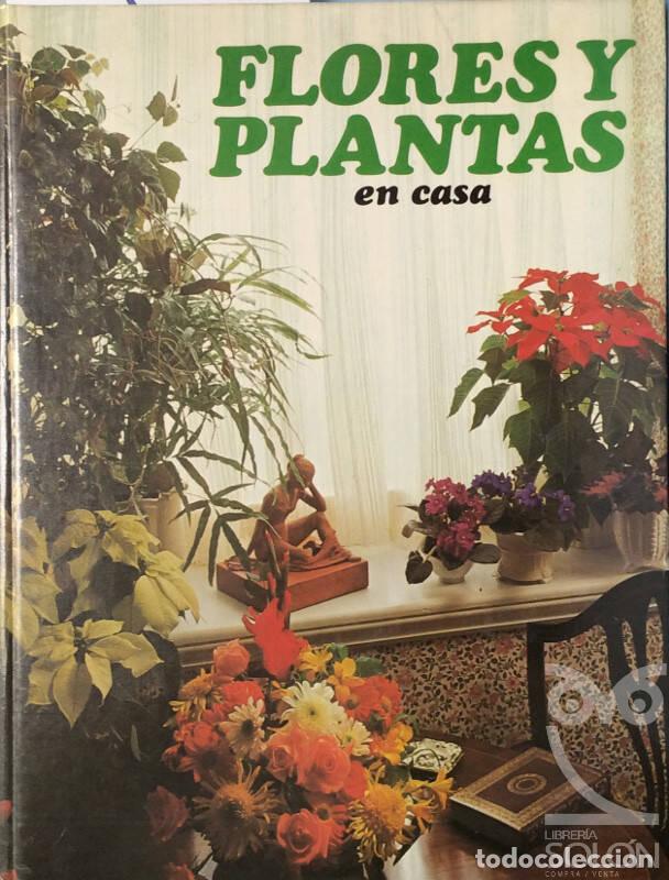 Libros: Flores y plantas en casa - Stevenson, Violet - Foto 1