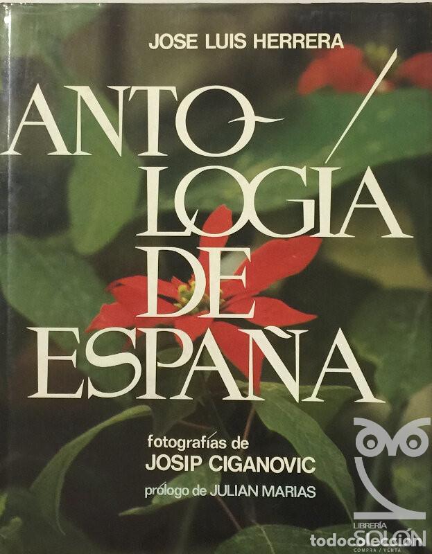 Libros: Antolog&iacute;a de Espa&ntilde;a - Jos&eacute; Luis Herrera - Foto 1