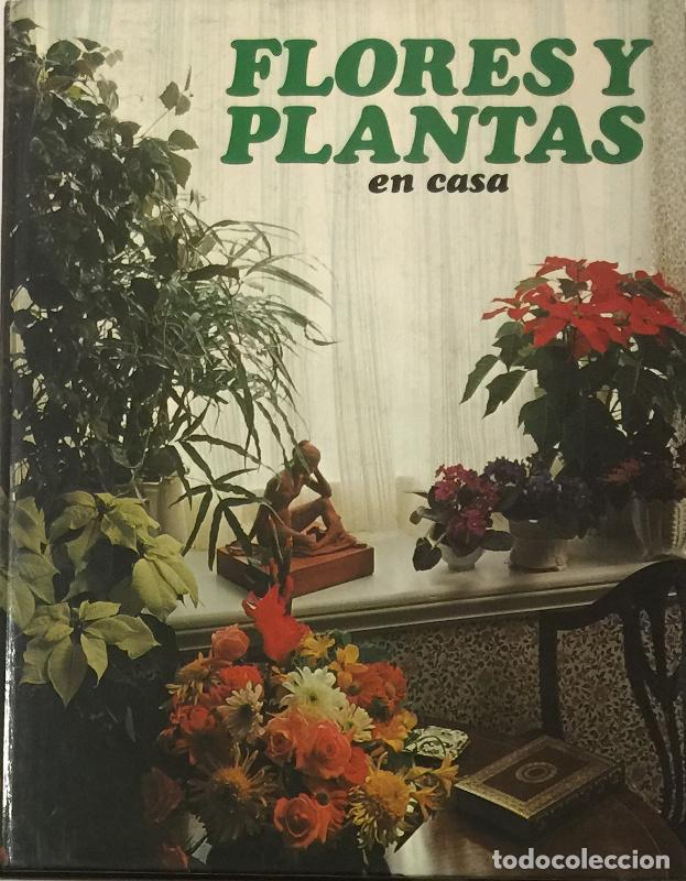 Libros: Flores y plantas en casa - Violet Stevenson - Foto 1