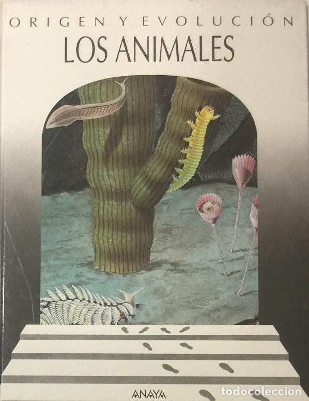 Libros: Los animales - Cristian Dal Sasso - Foto 1