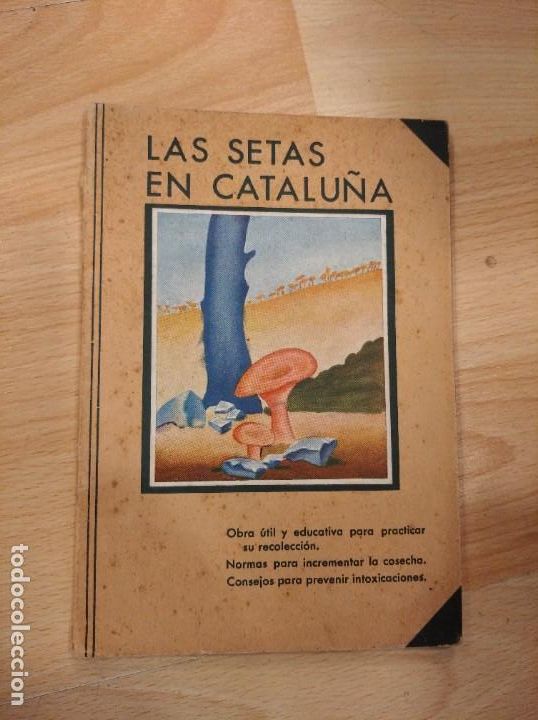Libros: Las setas en Catalu&ntilde;a. Juan Bad&oacute; - Foto 1