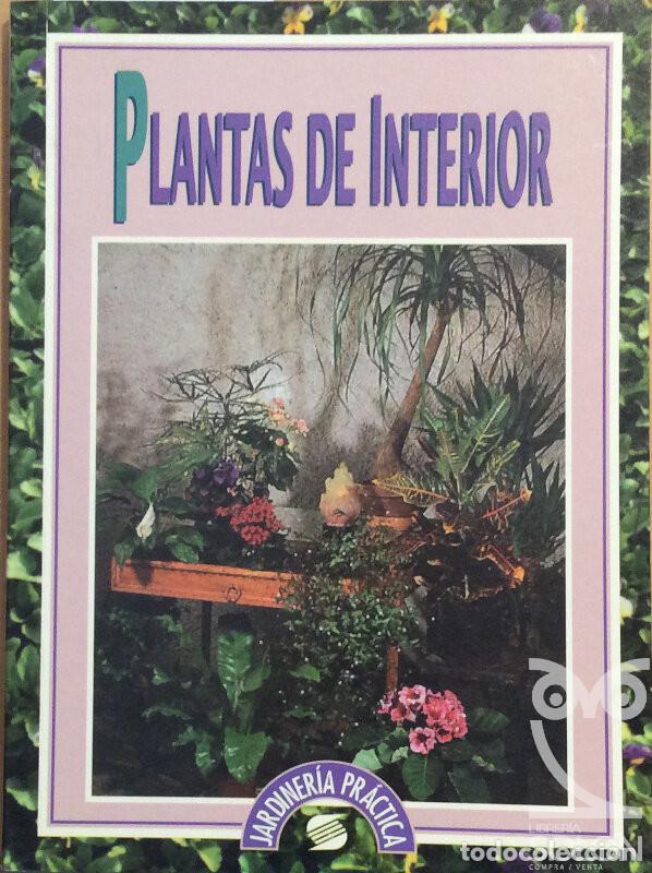 Libros: Plantas de Interior - Pierre Nessmann - Foto 1