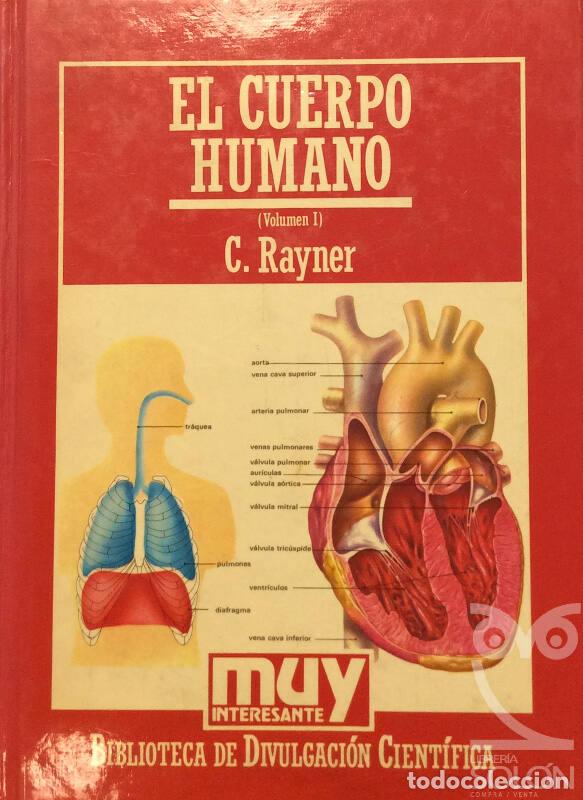 Libros: El cuerpo humano - Vol. I - C. Rayner - Foto 1