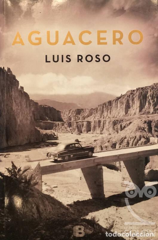 Libros: Aguacero - Luis Roso - Foto 1