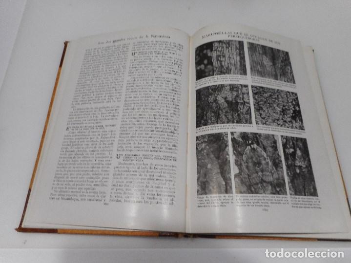 Libros: VV.AA Tesoro de la juventud Tomo VI Q1292W - Foto 3