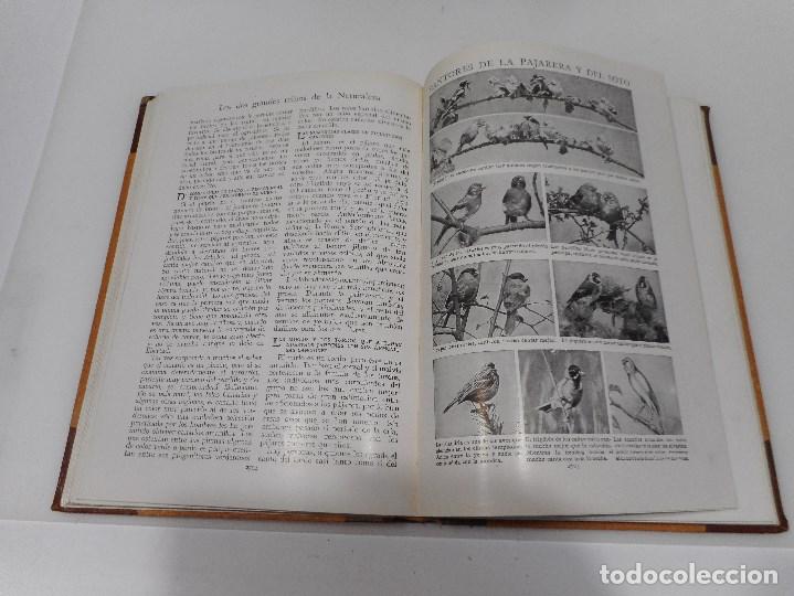 Libros: VV.AA Tesoro de la juventud Tomo VIII Q1295W - Foto 3