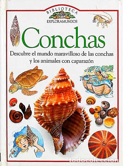 Libros: Conchas - Jennifer Coldrey - Foto 1