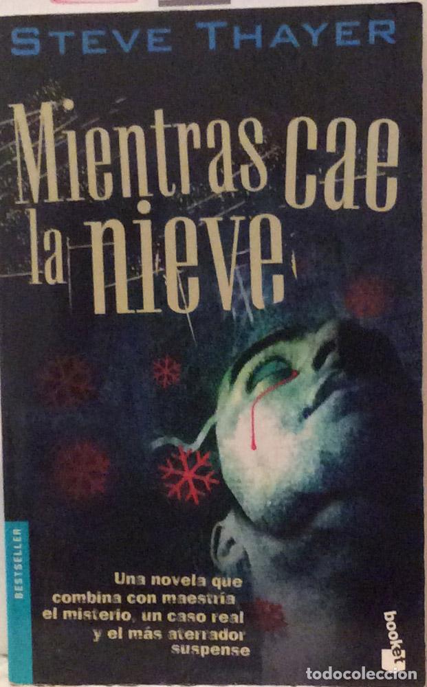 Libros: Mientras cae la nieve - Steve Thayer - Foto 1