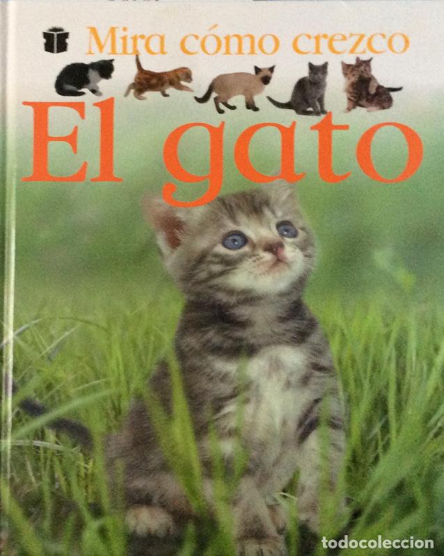 Libros: El gato - Aa.Vv. - Foto 1