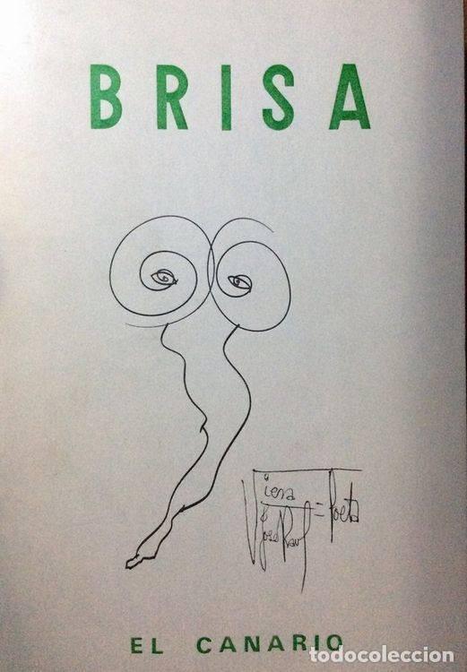 Libros: Brisa - Jos&eacute; Ra&uacute;l D&iacute;az Viera - Foto 1