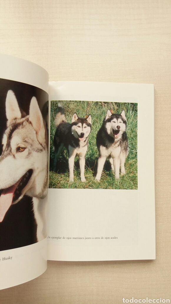 Libros: El Husky Siberiano. Domefauna. Editorial de Vecchi, 1994. - Foto 6