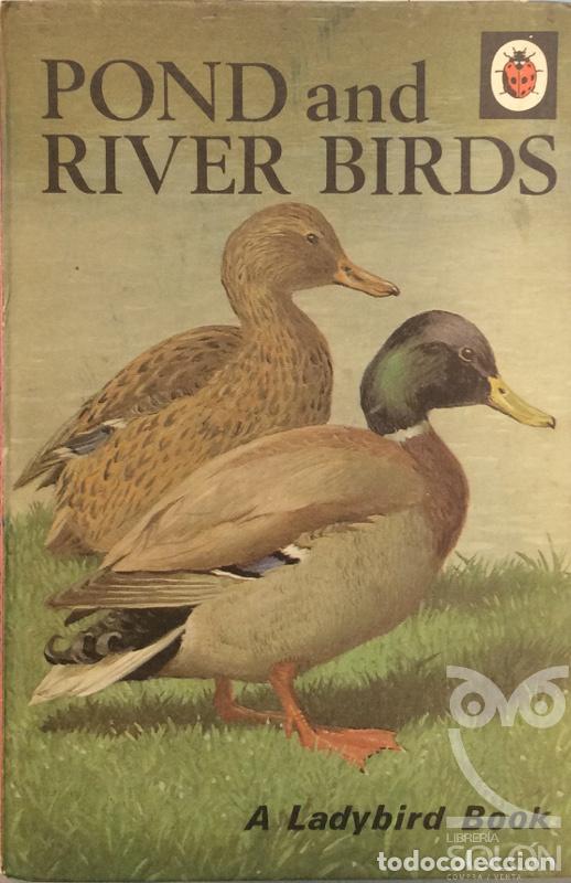 Libros: Pond and river birds - John Leigh-Pemberton - Foto 1